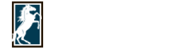 Troy Handel GmbH